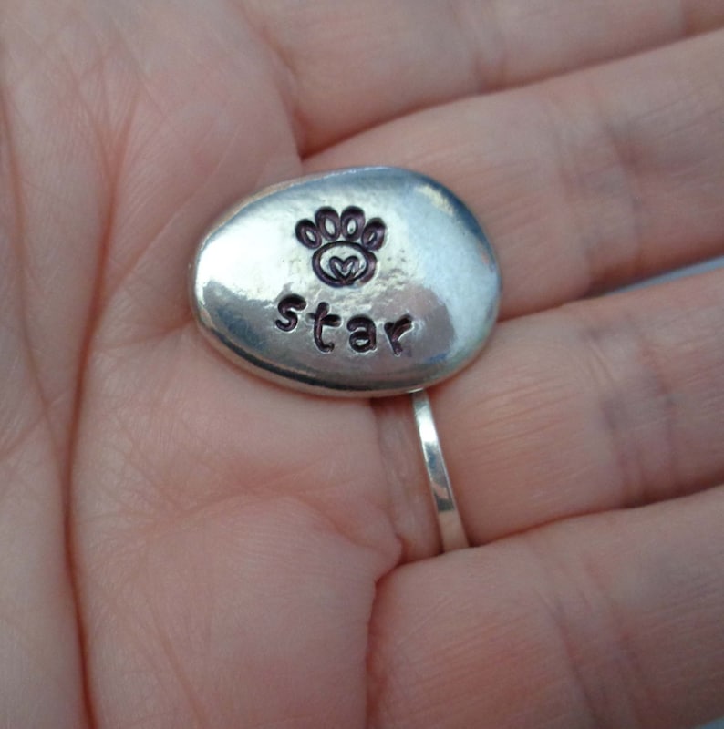 May include: A silver-coloured, oval-shaped charm with a paw print and the word "star" engraved on it.