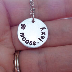 May include: Silver necklace with a round charm that says "Moose. Lexy" with a paw print charm and a small pink stone.