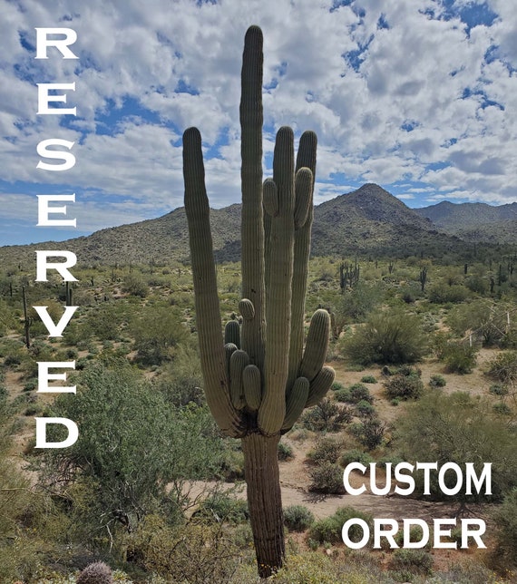 Custom Order for Tricia