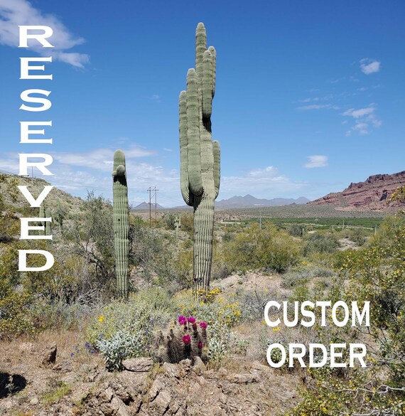 Custom Listing for Jill