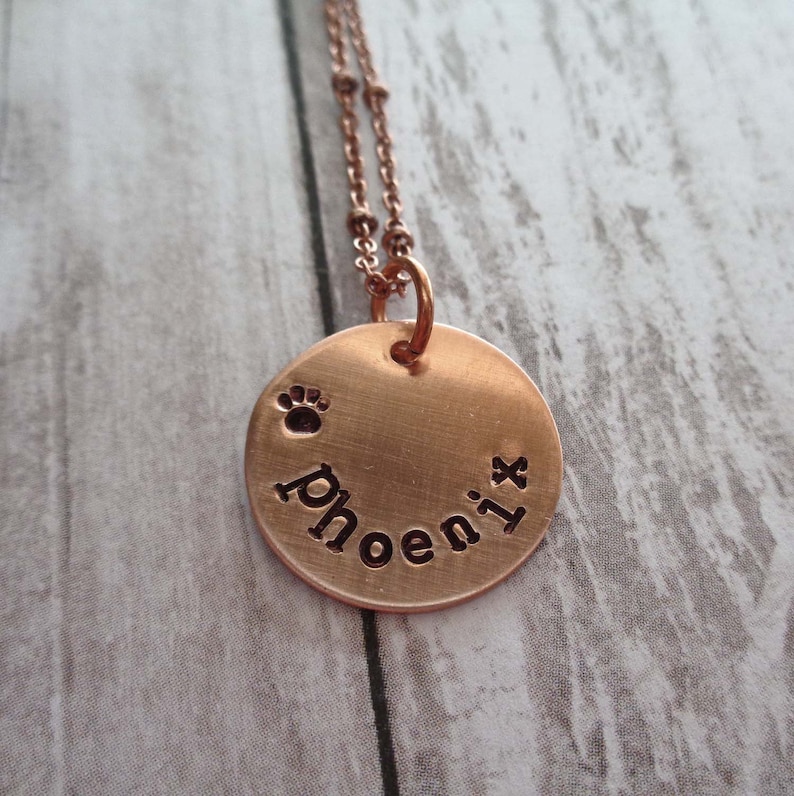Personalized Pet Name Necklace Small Dog Name Necklace Etsy