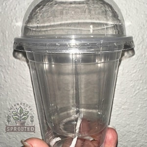 Handcrafted Self Watering Planter: Alocasia Starter Pot with Humidity Dome