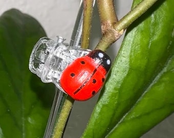 Clear Plant Clips | Hoya Clear Clips | Trellis Clips | Clear Clips Plants | Clear Orchid clips | Lady bug accessories