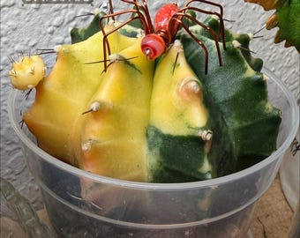 Glass spiders | Plant decore