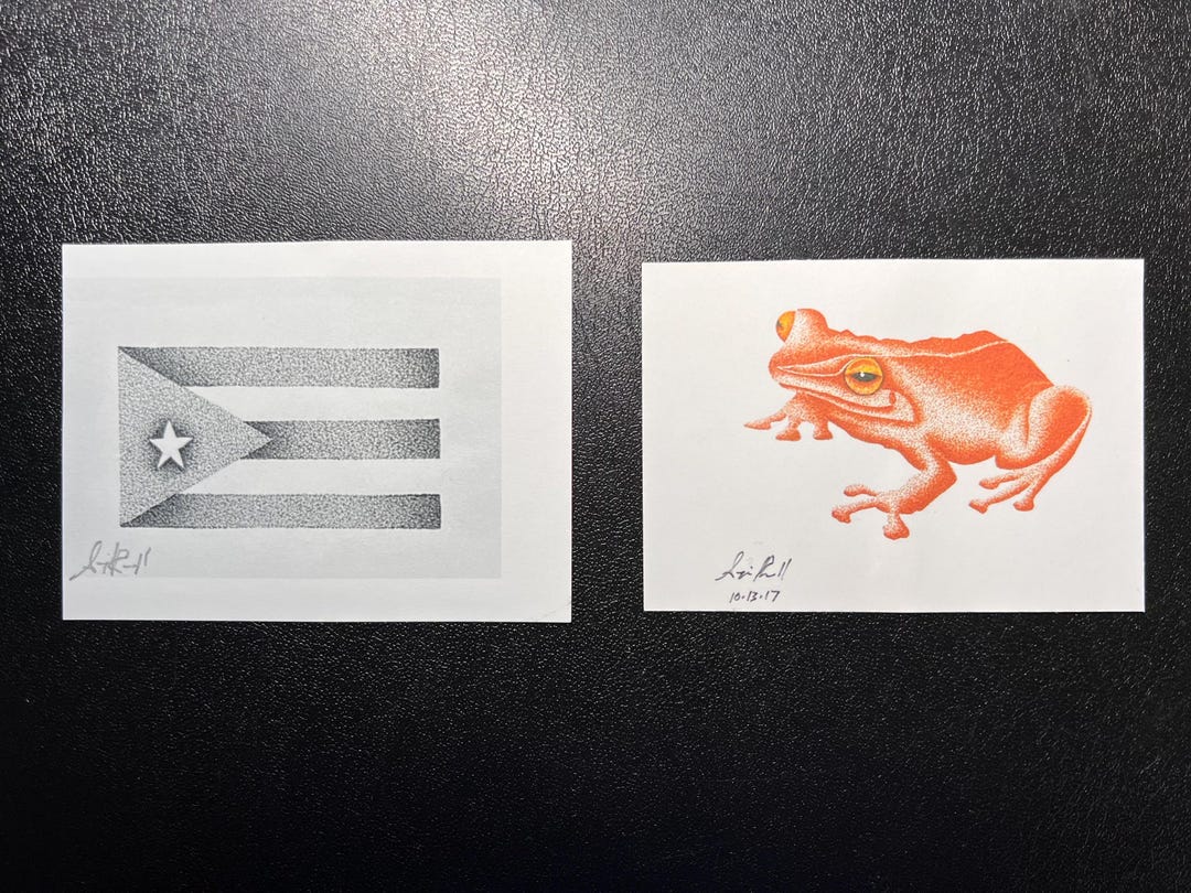 Sticker, Coqui Art, Frog Art, Puerto Rico Art, Boricua Art, Animal Art ...