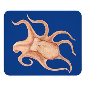 Musmatta (EU), Octopus Design