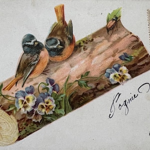 Belle carte postale antique avec dos indivis