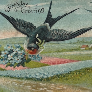 Ancienne carte postale polonaise avec un doux oiseau en vol