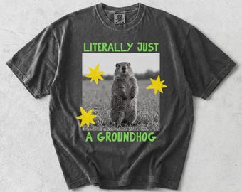 Groundhog Day Shirt, Funny Groundhog Tee, Groundhog Lover Gift, Woodchuck Shirt, Funny Animal Tee, Groundhog Sweatshirt, Woodchuck Kids Tee