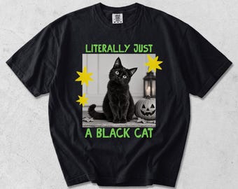 Black Cat Halloween Shirt, Funny Cat Shirt, Spooky Cat Tee, Black Cat Lover Gift, Halloween Cat Shirt, Witchy Cat Sweatshirt, Boxy Tee