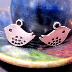 May include: Two silver bird charms with a hole for hanging. The birds have a dotted pattern and are on a blue and brown background.