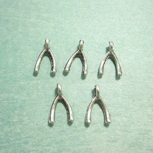 May include: Six silver-toned wishbone charms. The charms are small and delicate, perfect for adding a touch of whimsy to jewelry or crafts.