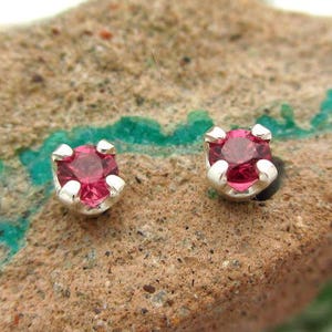 May include: A pair of silver stud earrings with small, round, red gemstones.