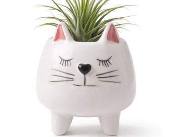 Maceta con forma de animal de bosque soñoliento para plantas aéreas