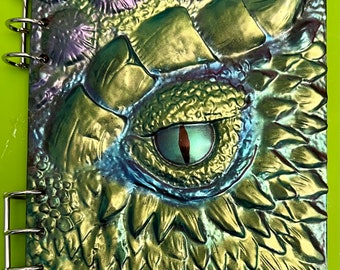 Dragon Eye Notebook