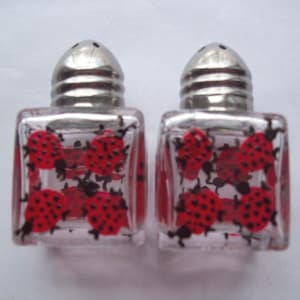 Handpainted Ladybug Mini Salt and Pepper Shakers: Party Favors