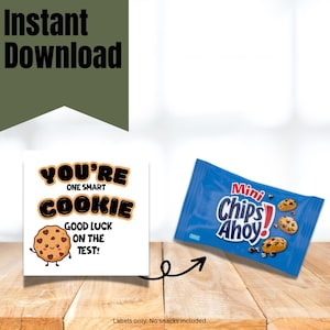 May include: A white card with the text "YOU'RE ONE SMART COOKIE" and a cartoon cookie illustration. A blue bag of Mini Chips Ahoy cookies is next to the card. The words "GOOD LUCK ON THE TEST!" are also on the card.