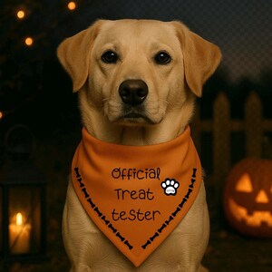 Treat Tester Halloween Dog Bandana: Fall Pet Costume