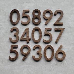 Puede incluir: Una colección de números de madera en un tono marrón cálido, dispuestos sobre una superficie gris claro. Los números, del 0 al 9, están elaborados con una veta de madera natural, mostrando un diseño simple pero elegante. Ideal para la decoración del hogar o proyectos de manualidades.