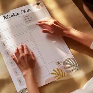 May include: A white weekly planner with a floral design at the bottom. The planner has sections for each day of the week, with space for notes and tasks. The planner also has sections for month, balance, and savings.