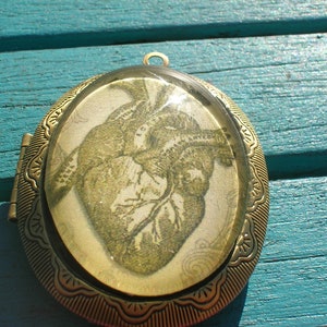 large anatomical steampunk heart locket or pendant