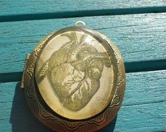 large anatomical steampunk heart locket or pendant