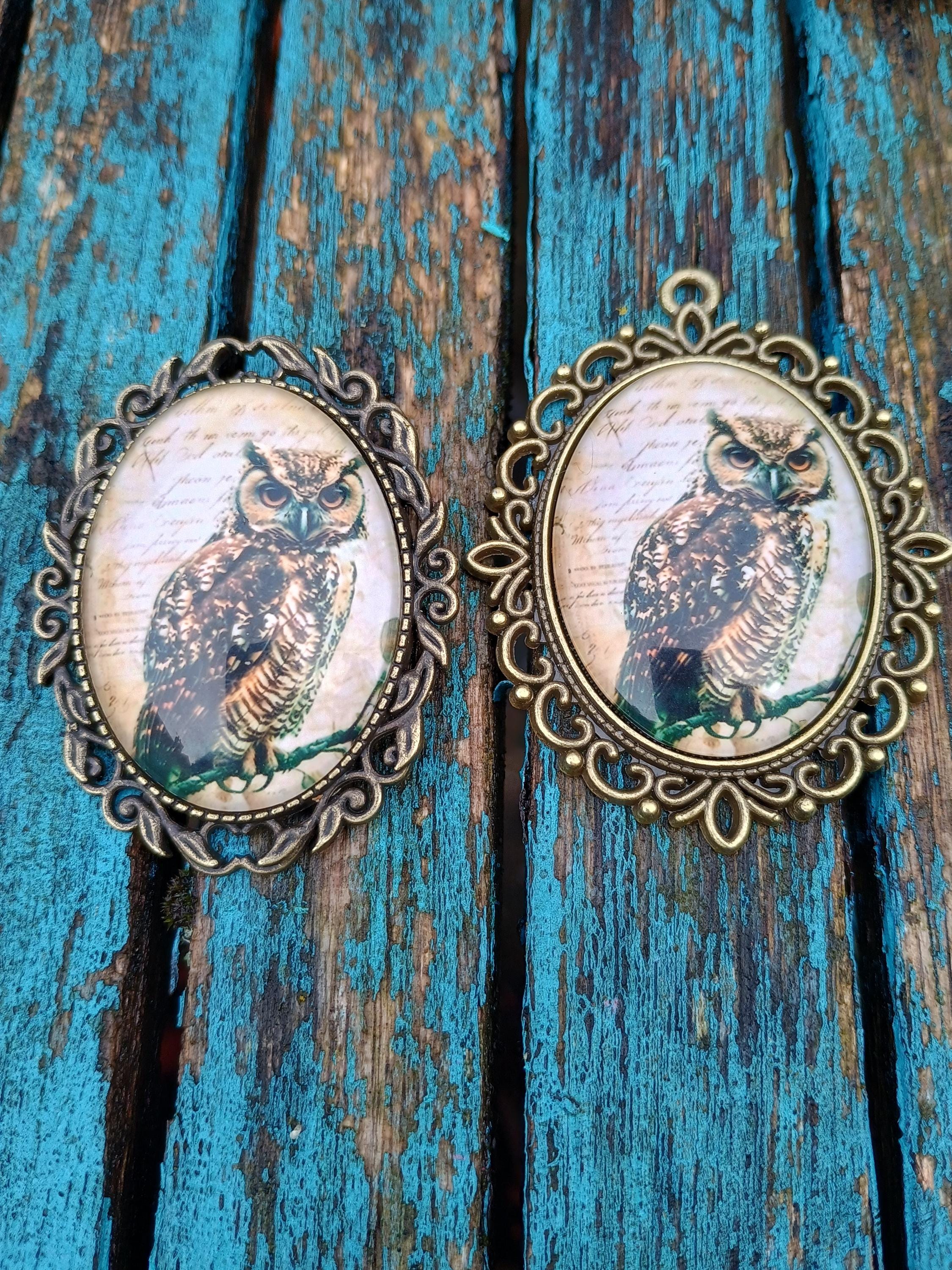 wise owl brooch or pendant. teacher gift