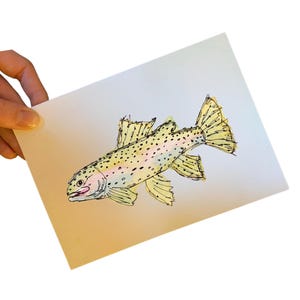 Carte Truite arc-en-ciel