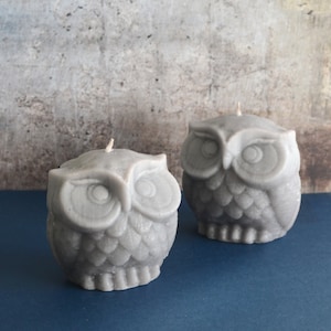 Owl Candle Gray Scented in Midnight Pomegranate Valentine Candle Gift Wedding Baby Shower Mothers Day Reception Christmas gift