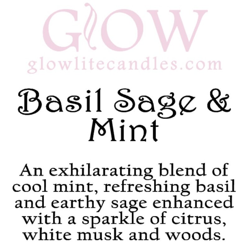 Basil Sage & Mint soy wax melt shot image 2