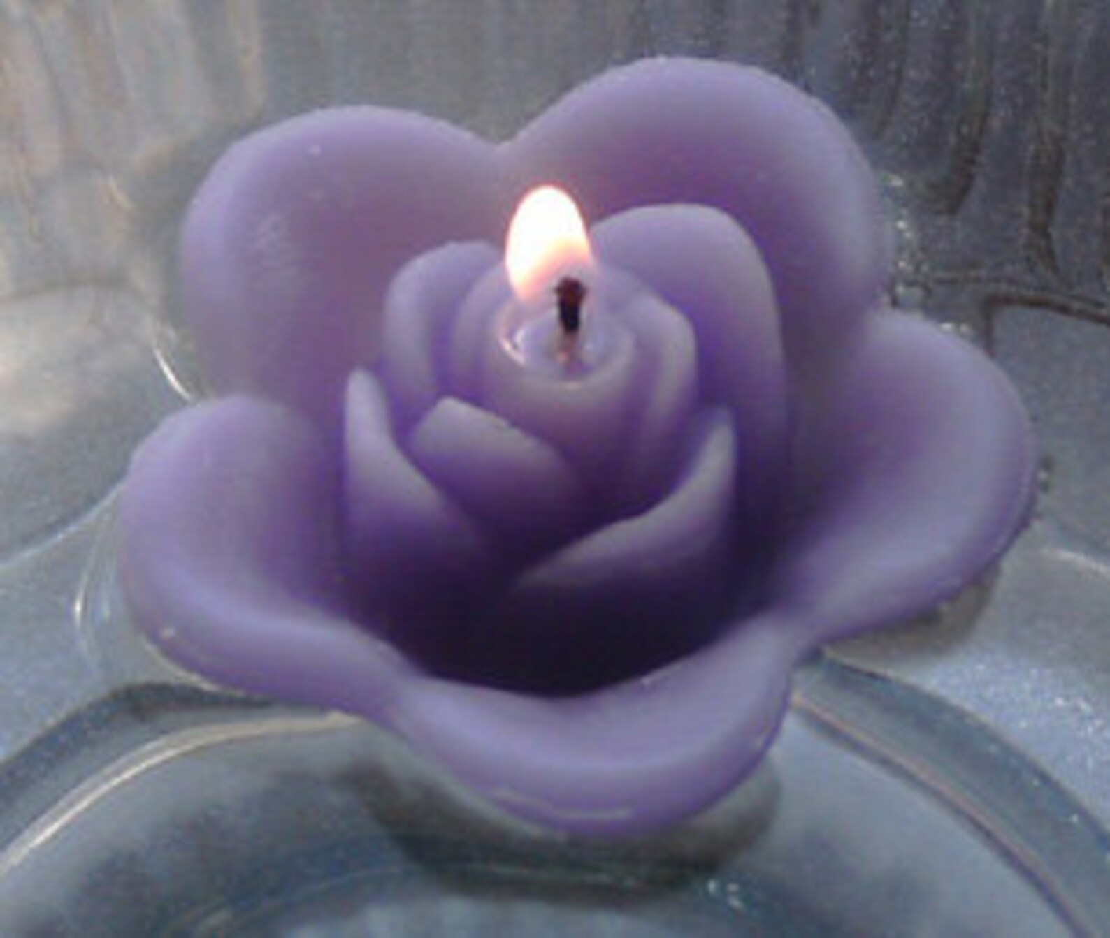 8 Lavender Butterfly Floating Candles Wedding Receptions Table Etsy
