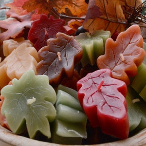 May include: Assortment of fall-themed leaf-shaped candles in various colors, including red, green, brown, and beige. The candles are arranged in a wooden bowl.