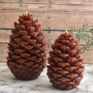 Set of 2 Brown Pine Cone Candles Winter Woodland Wedding, dinner party wedding reception table pinecone centerpiece décor