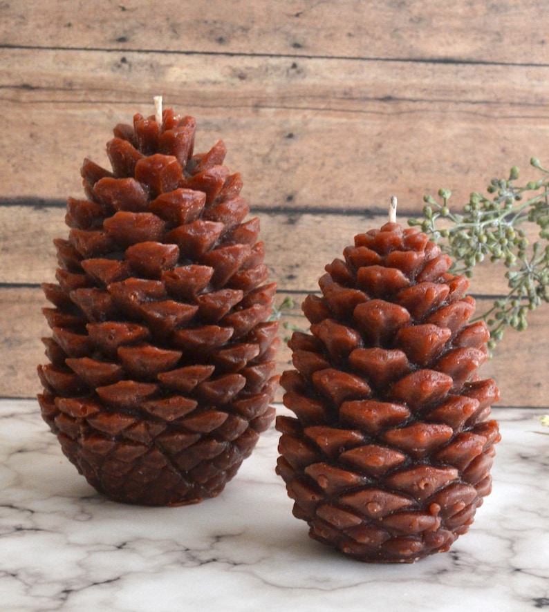 Set of 2 Brown Pine Cone Candles Winter Woodland Wedding, dinner party wedding reception table pinecone centerpiece décor image 1