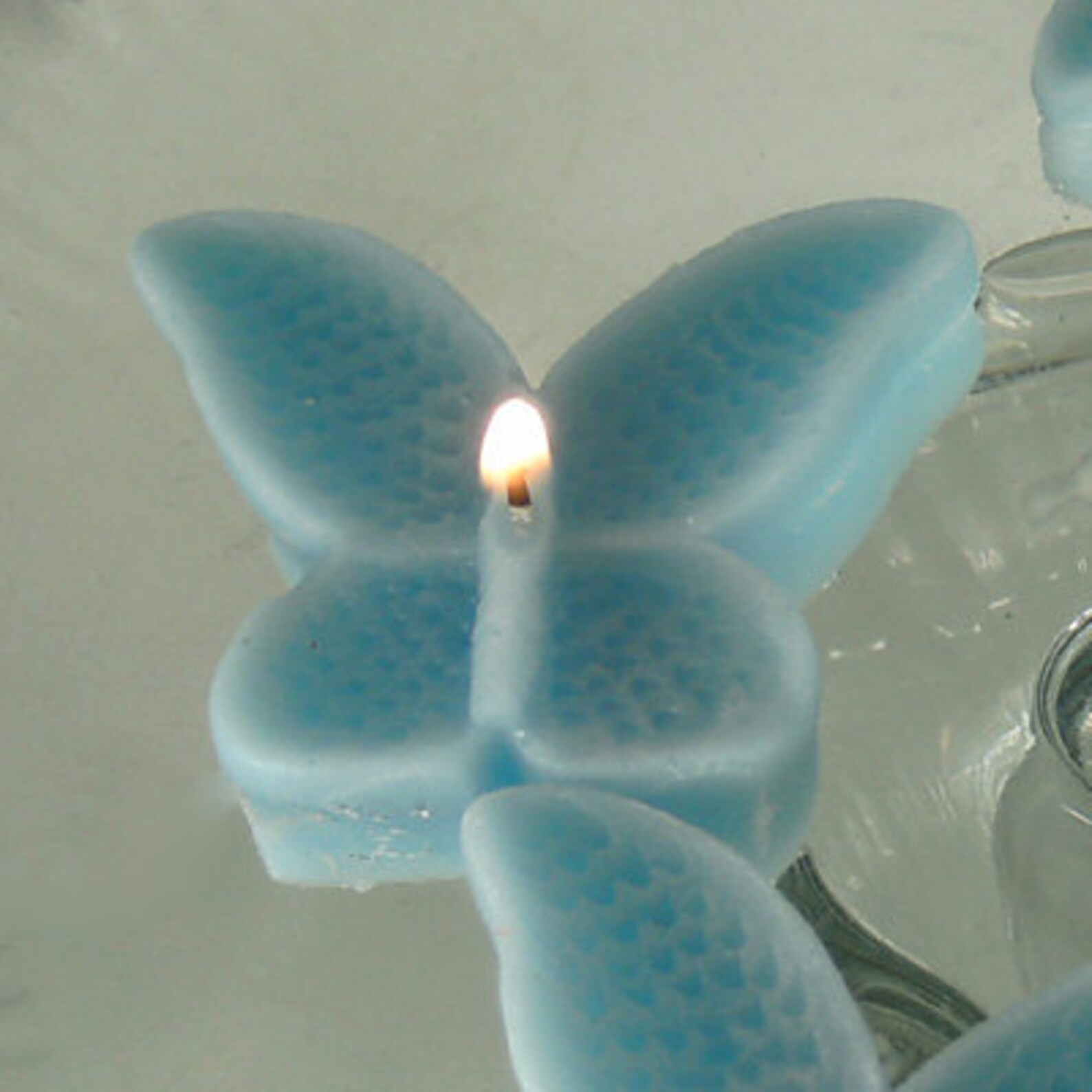 8 Turquoise Butterfly Floating Candles Wedding Receptions Etsy