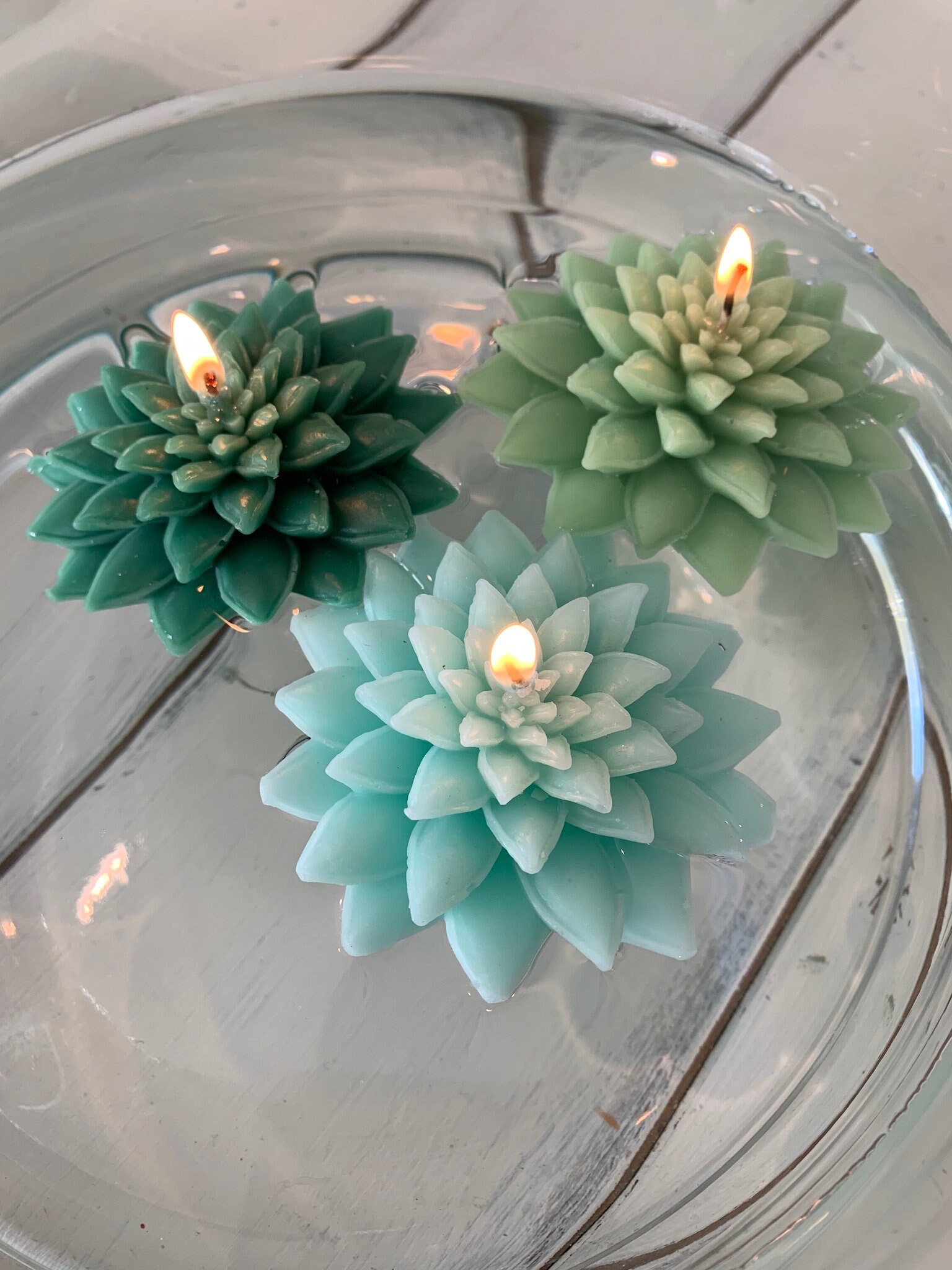 Set Of 3 Succulent Floating Candles Desert Wedding Reception Etsy Ireland