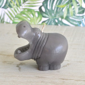 I Want a Hippopotamus for Christmas Hippo Candle, Jungle Safari Birthday Cake Candle,
