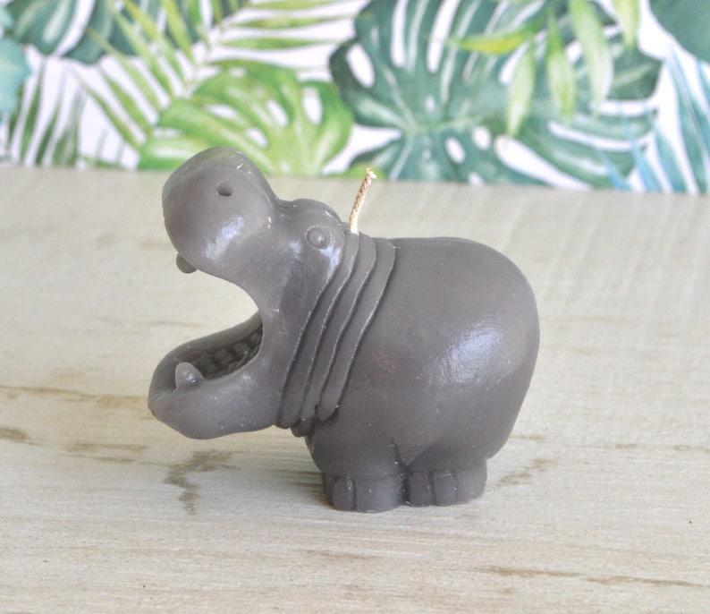 I Want a Hippopotamus for Christmas Hippo Candle, Jungle Safari Birthday Cake Candle, afbeelding 1