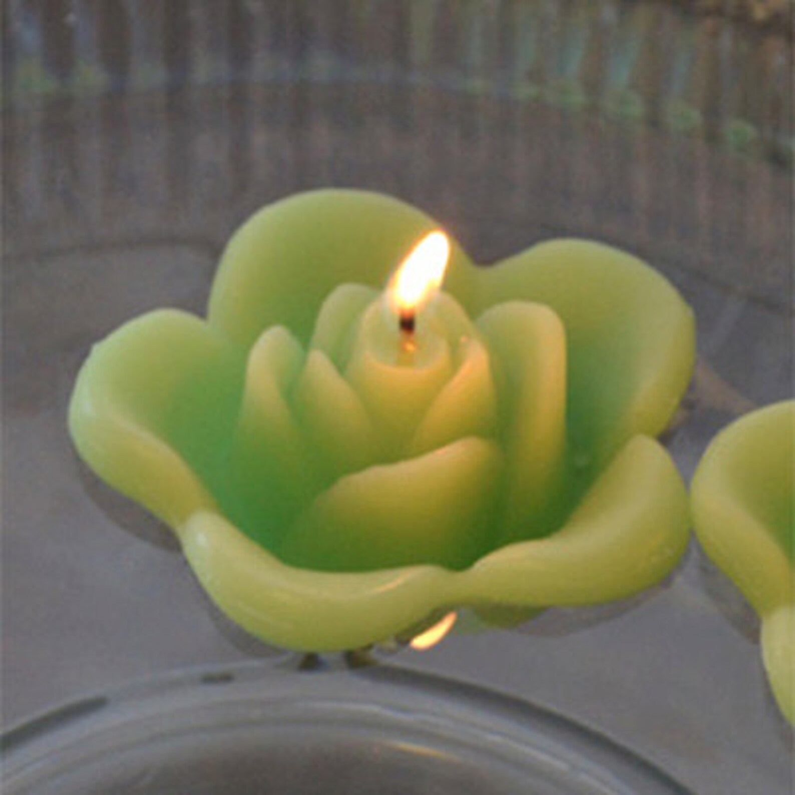 8 Lime Green Butterfly Floating Candles Wedding Receptions Etsy