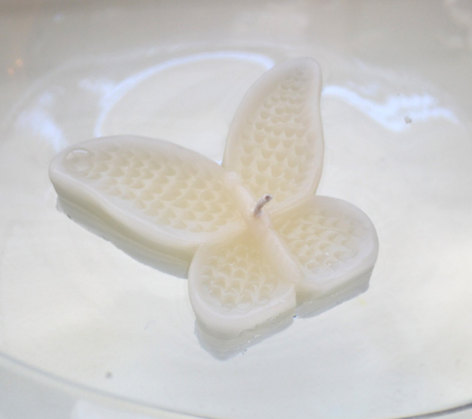 8 Ivory Butterfly Floating Candles Wedding Receptions Table Etsy
