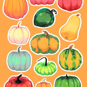 May include: A collection of colorful pumpkin stickers in various shapes and sizes. The pumpkins are in shades of orange, red, green, yellow, and pink, with white outlines. The background is a solid orange color.