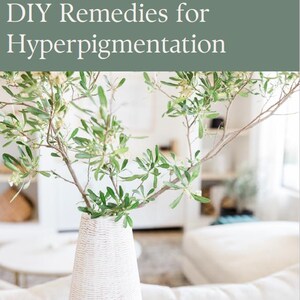 Może przedstawiać: Biały wazon o teksturowanym wzorze trzyma gałąź z zielonymi liśćmi. Tekst brzmi "God's Gift for Clear Skin: DIY Remedies for Hyperpigmentation" i "Glow Naturally - No Overpriced Products, Just Real Results From Real Ingredients."