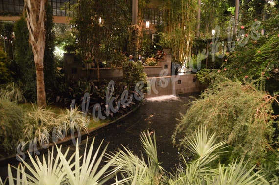 Digital Picture Of Indoor Waterfall And Pond At Longwood Etsy