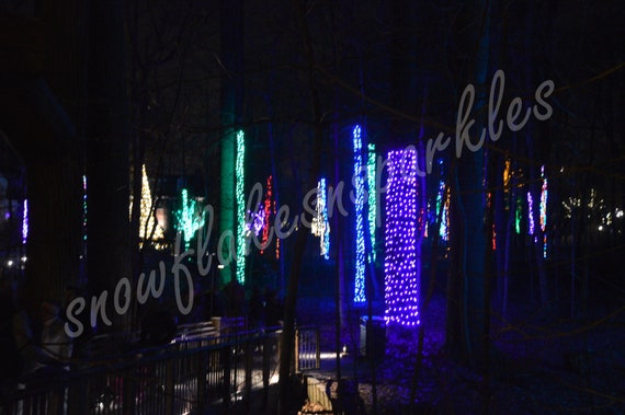 Digital Picture Of Color Christmas Lights At Longwood Gardens Etsy