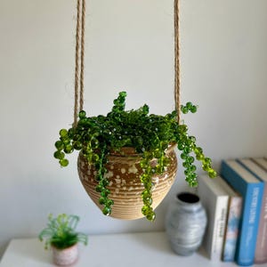 Puede incluir: Una maceta colgante de cerámica con un diseño moteado marrón y blanco, suspendida por una cuerda. La maceta contiene una vibrante planta de cuentas verdes con hebras en cascada. Una pequeña planta decorativa y libros son visibles en el fondo.