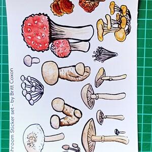 Ensemble d'autocollants en forme de champignon