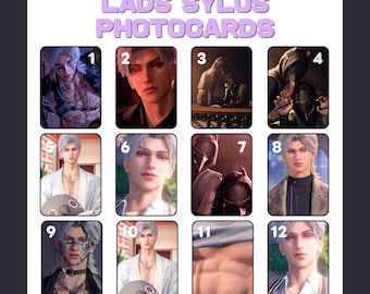 Tarjetas fotográficas LADS Sylus