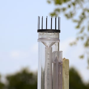 May include: A clear plastic rain gauge with a black top and a metal ruler inside. The gauge is mounted on a wooden post.