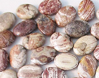 Brown Zebra Jasper Beads, Flat Oval, 15mm x 12mm, 29 count - gm458