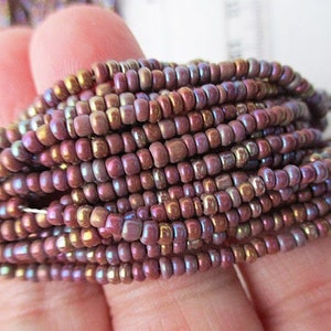 Glass Seed Beads, 10/0 Rainbow Metallic, 2-3mm, Hank 18 strands sb29 image 1